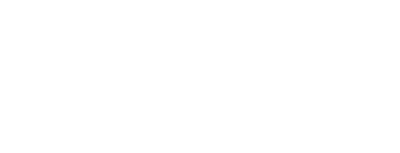 Fender